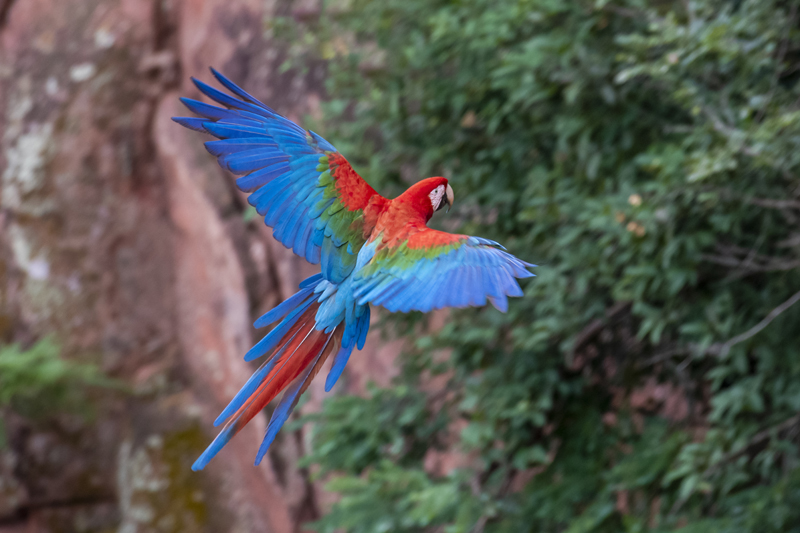 Bonito - Photo by Hudson Garcia (18)